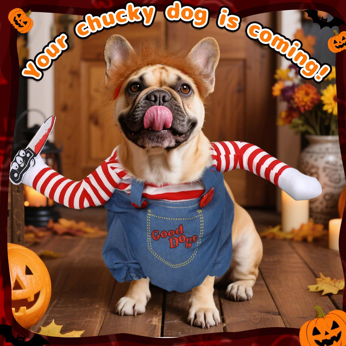 T2Y Dog Halloween Costume Pet Deadly Doll Chucky Dogs Costume with Knife & Wig, Dog Costumes for Medium Dogs Funny Party Cosplay Halloween for Corgi, Pug, Frenchie, Dachshund【XL】