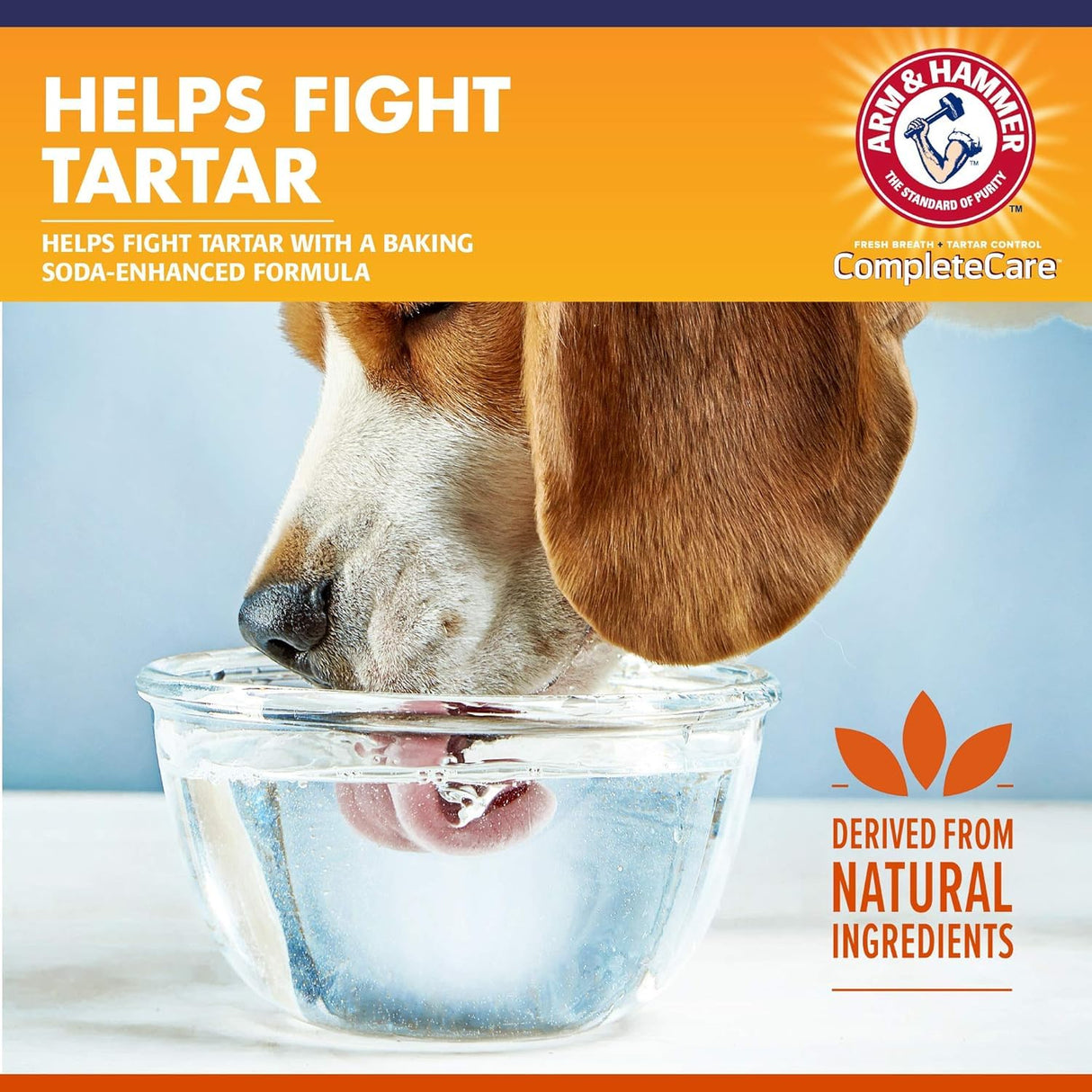 Arm & Hammer Complete Care Dental Water Additive for Dogs, Dog Breath Freshener, Dog Mouth Wash or Dental Rinse, Simply Add to Pet Drinking Water for Fresher Breath, 16 FL OZ - 3 Pack