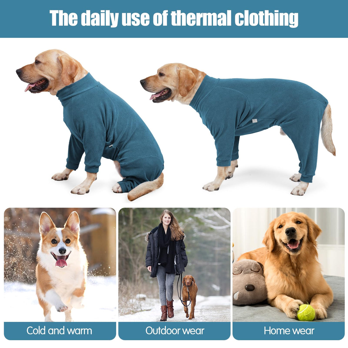 Dog Winter Coat for Small Medium Large Dog Run Walk Sleep Pet Warm Fleece Sweater & Windproof Pajamas Snow Jacket Small Turquoise