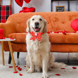 Huhumy 100 Pcs Valentine's Day Dog Bow Tie Collar Bulk Valentine's Day Dog Bow Tie Adjustable Heart Puppy Neckties Collars for Small Medium Pet Grooming Accessories Puppy Supply