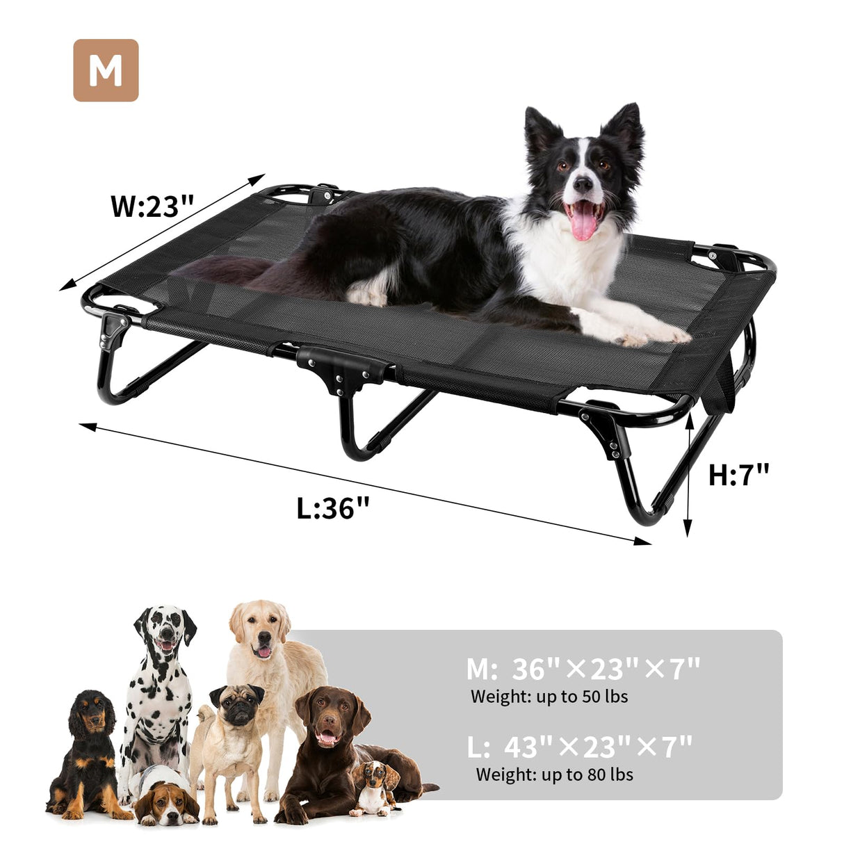 Ipixune Foldable Elevated Dog Bed, 36"x23"x7" Raised Pet Bed with No Setup, Outdoor DogBed with Breathable Mesh, No-Slip Feet Durable Dog Cots Bed for Medium Sized Dogs, Black