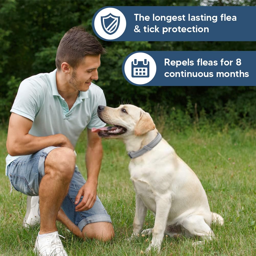 NJKPUYT Flea Collar for Dogs, Tick Collars for Dogs, Dog Fleas Collar, 8-Month Protection,Safe Repellent for Fleas, Ticks & Mosquitoes,Fits Small, Medium & Large Dog-2P