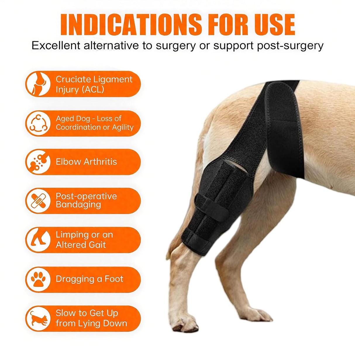 YEHALEANS Dog Knee Brace for Torn Acl Hind Leg, Adjustable Dog Knee Brace, Helps Relieve Anterior Cruciate Ligament Tears Dog Leg Brace, Keeps Joints Stable, Relieves Pain, L