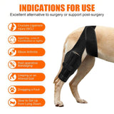 YEHALEANS Dog Knee Brace for Torn Acl Hind Leg, Adjustable Dog Knee Brace, Helps Relieve Anterior Cruciate Ligament Tears Dog Leg Brace, Keeps Joints Stable, Relieves Pain, L