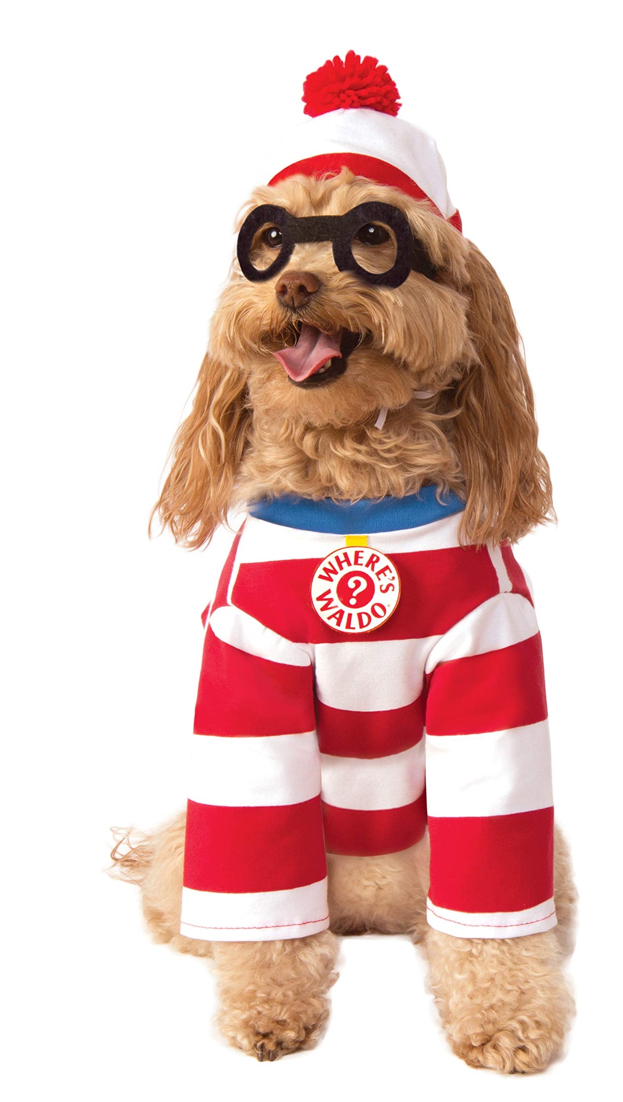 Where's Waldo: Waldo Pet Costume for for Dogs or Cats by Rubies, Medium