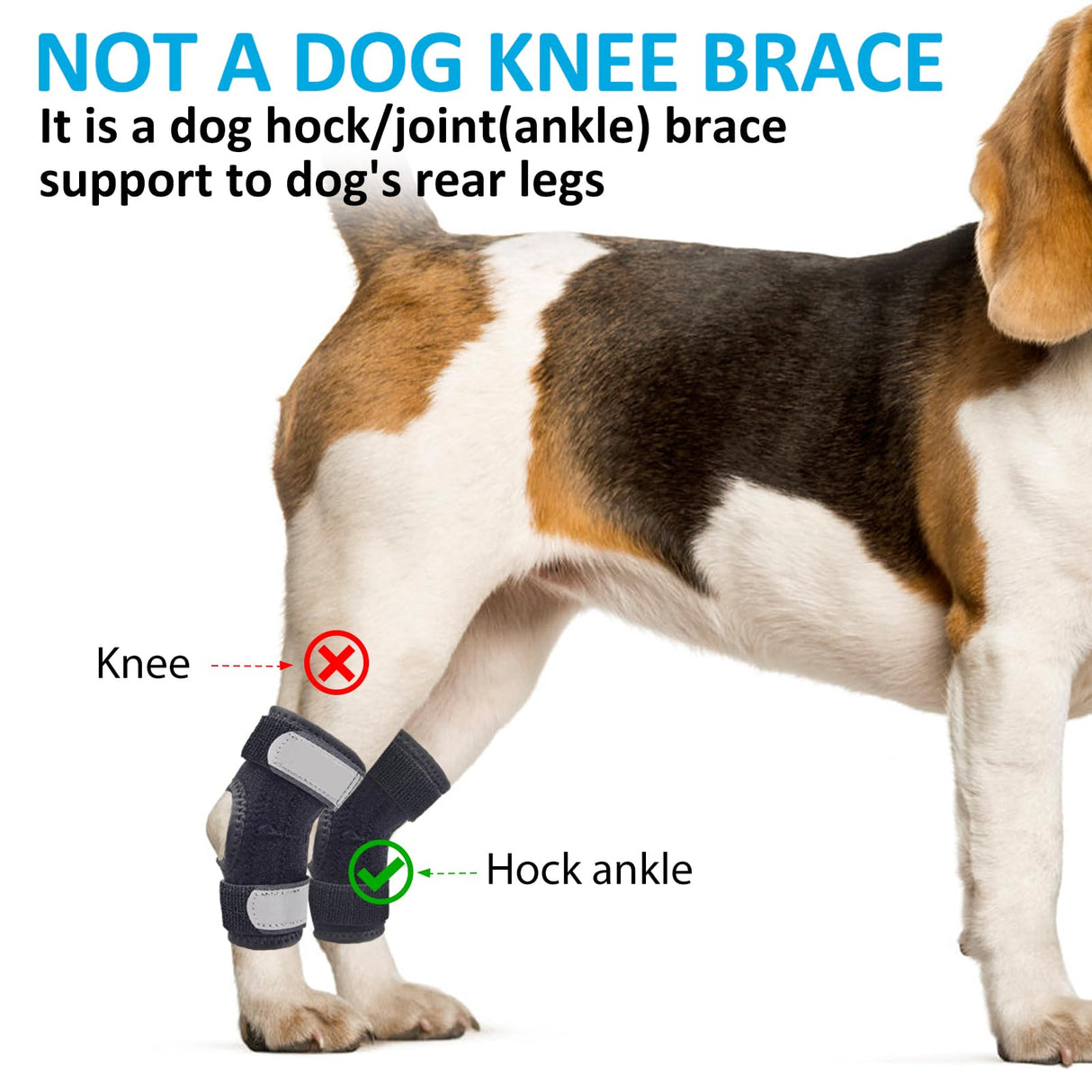 Dog Leg Braces for Rear Legs, Hock Brace for Back Legs with Metal Strips and Safety Reflective Straps for Short Legs, Joint Warps Support for Hind Legs Injuries Sprains Arthritis (XSmall)