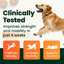 Load image into Gallery viewer, VetriScience Extra Strength Healthy Hip &amp; Joint Chewable Tablets, GlycoFlex Glucosamine and Green-Lipped Mussel Joint Support Supplement for Dogs, Soothe Joint Discomfort, Chicken, 120 Count
