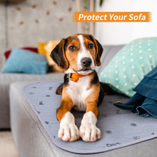 Load image into Gallery viewer, Washable Pee Pads for Dogs, 2Pack Puppy Pads Washable with Bone Print,Absorbent Reusable Whelping Pads Non-Slip Dog Mats for Floor Protector, Couch Cover, Crate, Potty Training 31x36
