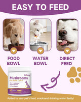 NaSeny Mushroom for Dogs & Cats - Turkey Tail for Dogs - 10 Organic Mushroom Supplement with Turkey Tail, Reishi, Lions Mane - Lumps & Bumps, Immunity, Gut, Skin, Joint Health - Chicken Flavor
