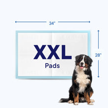 Load image into Gallery viewer, Puppy Pads XL 28x34 [100-COUNT] Dog Pads Extra Large 28" x 34" Leak-Proof Dog Pee Pads - Quick-Dry Puppy Pee Pads Pet Potty Training - Heavy Duty Super Absorbent Wee Wee Pads for Dogs Bulk -100 Pack
