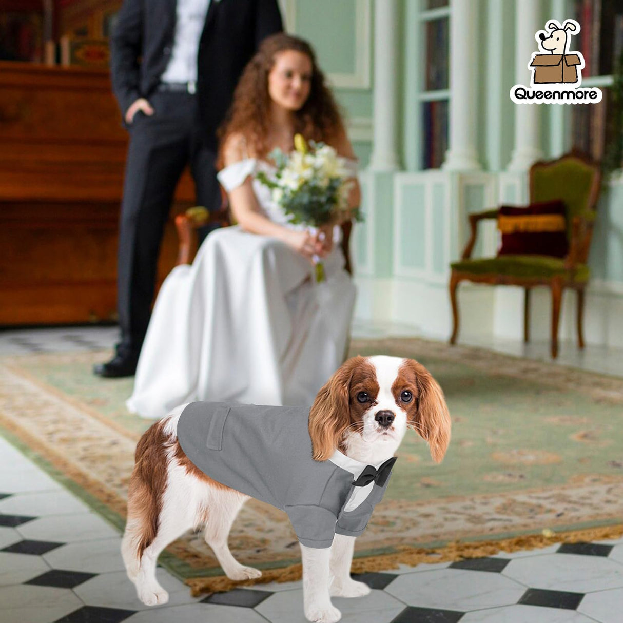 Queenmore Dog Tuxedo, Formal Outfit for Wedding & Halloween - Pet Tuxedo with Tie for Large, Medium & Small Dogs, Puppy & Cats (Grey, S)