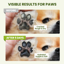 Load image into Gallery viewer, PawSono Lick-Safe Dog Paw &amp; Nose Balm with Coconut Oil | Winter Snow, Road Salt &amp; Cold Pavement Protector | All-Natural Moisturizer &amp; Soother for Dry, Cracked Pads &amp; Snout | Horse Hoof, Joint Care
