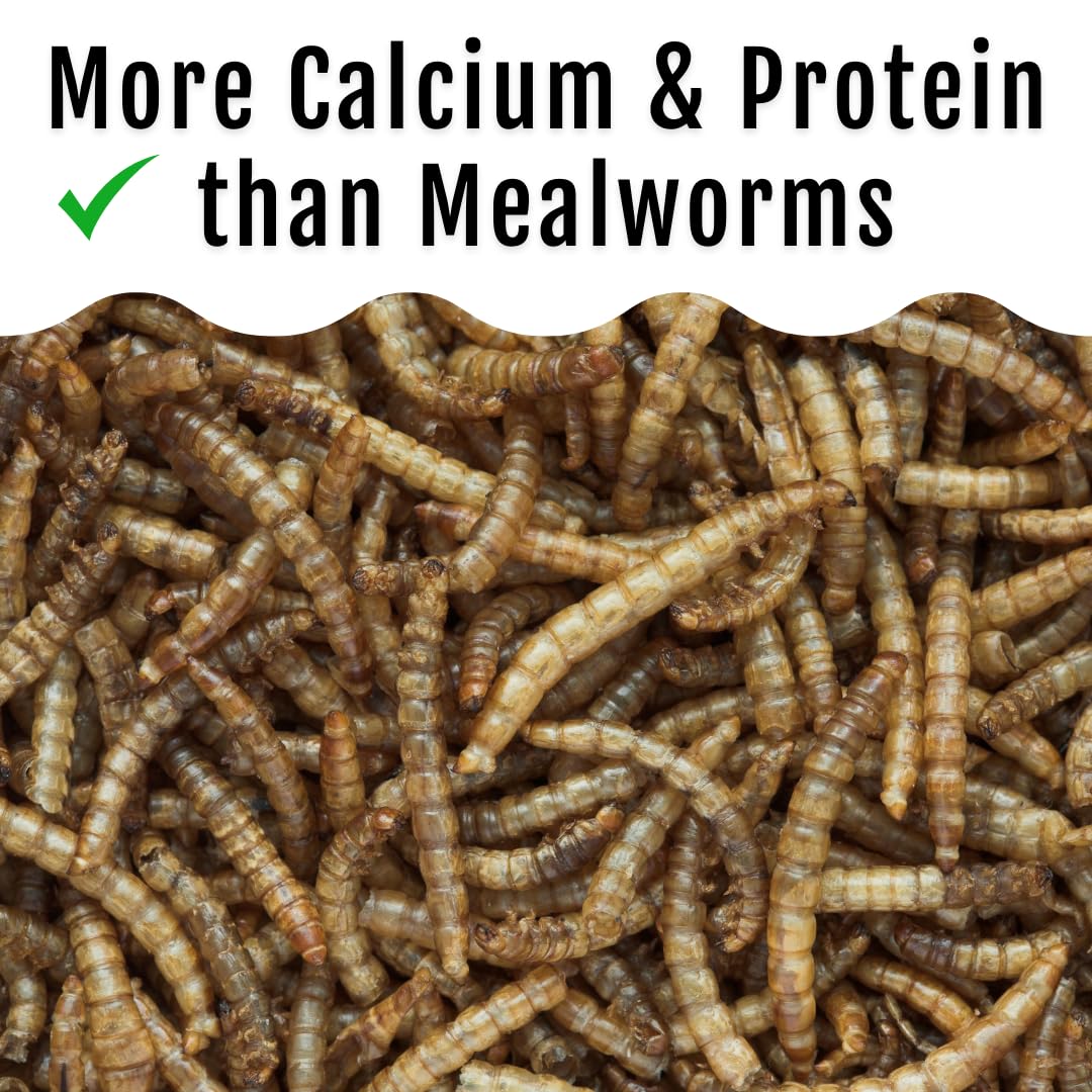 Buff Clucks Grub Fuel Black Soldier Fly Larvae for Chickens - Nutrient-Packed BSFL, Sustainably Sourced Snack for Poultry, Rich in Protein, Calcium, Fiber, Essential Fatty Acids, USA Grown (1LB)