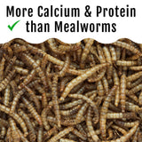 Buff Clucks Grub Fuel Black Soldier Fly Larvae for Chickens - Nutrient-Packed BSFL, Sustainably Sourced Snack for Poultry, Rich in Protein, Calcium, Fiber, Essential Fatty Acids, USA Grown (1LB)