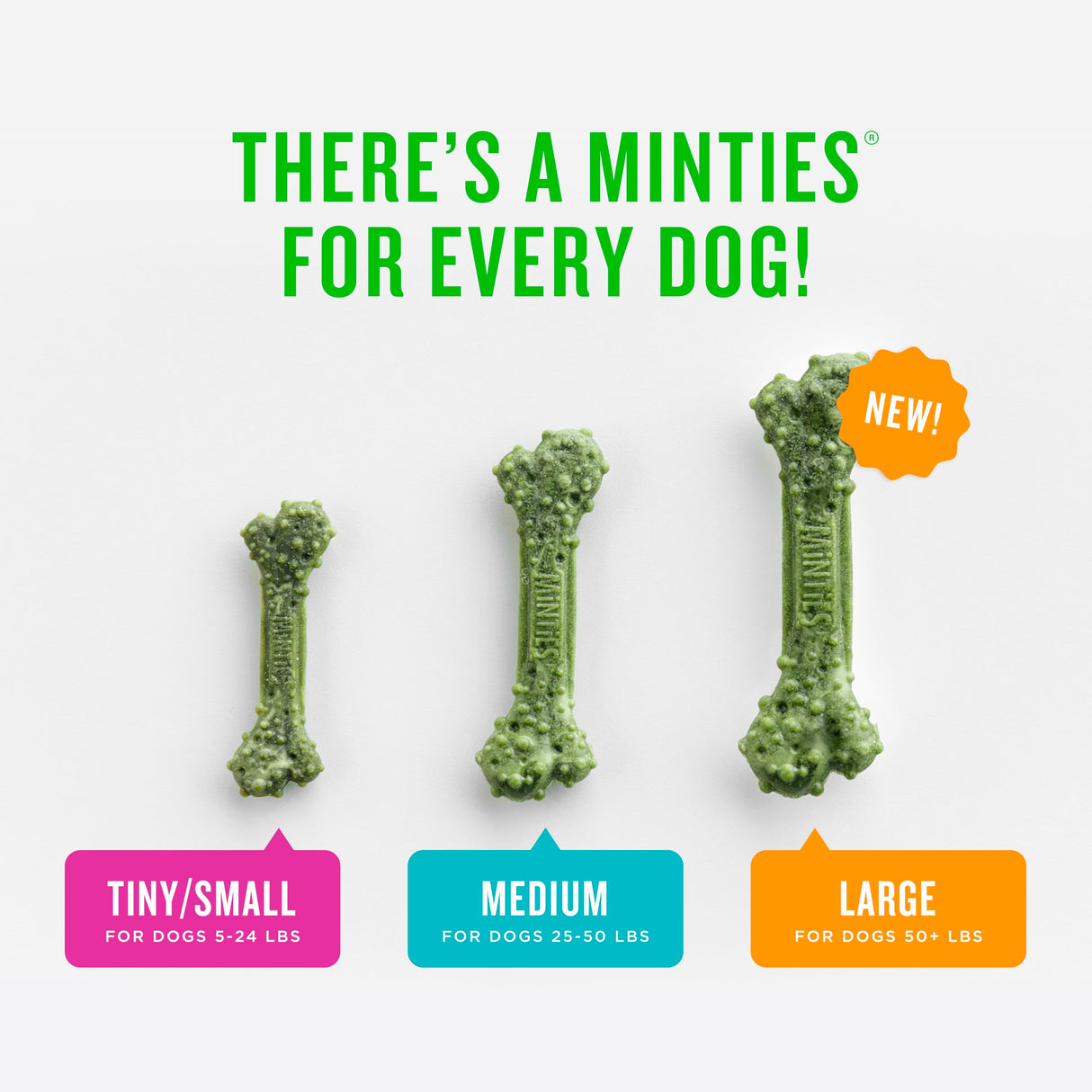 Minties Dog Dental Bone Treats, Tiny/Small Dental Dog Treats, Clean Teeth, Fight Bad Breath, Removes Plaque and Tartar, 80 Count