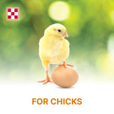 Purina Start and Grow | Non-Medicated Chick Feed Crumbles | Nutritionally Complete - 25 Pound (25 lb.) Bag