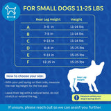 Walkin' Wheels Small Dog Wheelchair, Lightweight Dog Wheelchair for Back Legs, 15-25 lbs, for 9-11 inches Leg Height - Seafoam