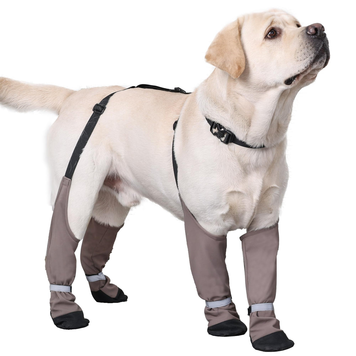 Dog Suspender Boots, Warm Dog Paw Protectors, Waterproof Doggy Booties for Winter, Anti-Slip Reflective Pet Shoes Snow Boots for Outdoor Walking,Hiking, Sandy, Muddy (Medium)