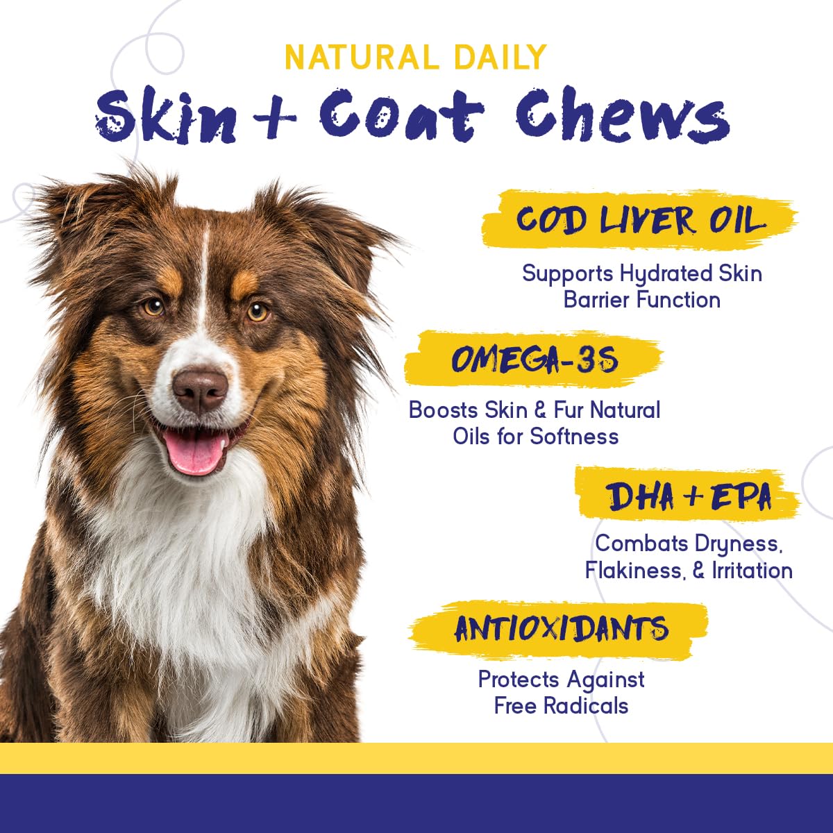 PupGrade Skin & Coat Soft Chew Supplement for Dogs – Supports Healthy Skin, Coat, and Immune Function - Rich in Natural Fish Oil, Omega Fatty Acids, and Vitamins – 60 Soft Chews