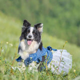 Polka Dot Big Large Dog Princess Dress Tutu Skirt Golden Retriever Pitbull Summer Dog Clothes Hoodie Costume (XL, Blue)