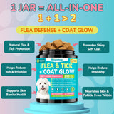 Woyamay Flea + Coat Glow Soft Chews, Natural Flea and Tick Prevention for Dogs, Dog Flea and Tick Treatment Chewable, Reduces Itch & Shedding with Fish Oil & Neem, Chicken Flavor