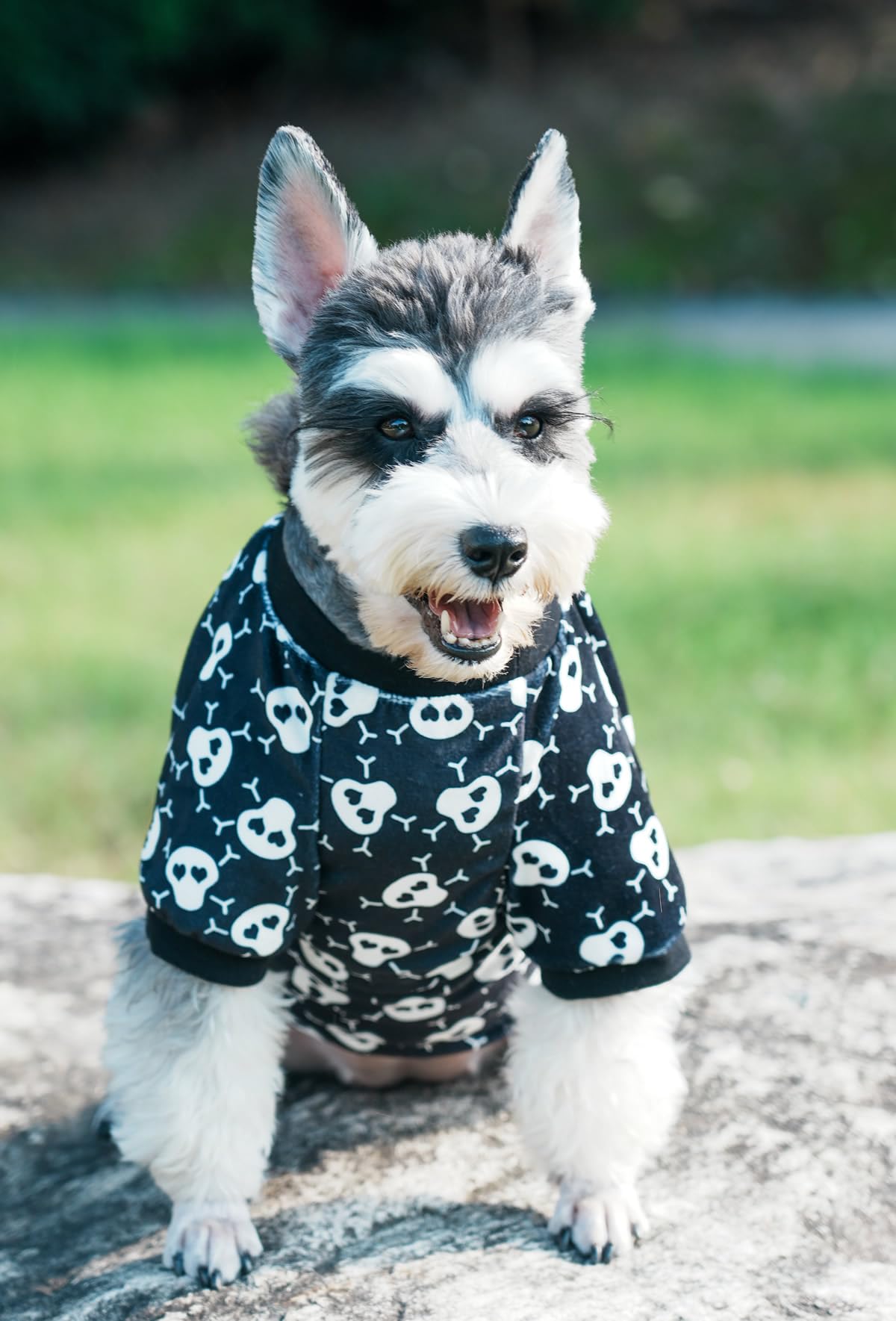 Lanyarco Skull Dog Halloween Costume Dog Pajamas Clothes, Skeleton Pet Costumes for Dogs Pajama Onesie PJS, Back 23" XLarge