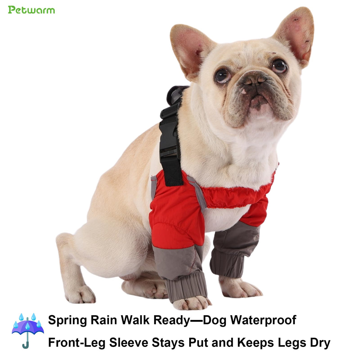 PetWarm Dog Front Leg Sleeves, Waterproof, Recovery Elbow and Knee Protector, All Season Dog Leg Sleeve for Small Dogs, Post Surgery Protection, Grey, S