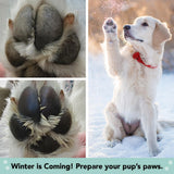 Natural Dog Company PawTection Balm for Dogs – Winter Paw Protection from Snow, Ice & Salt, Wax-Based Paw Barrier Balm, All Breeds for Cold Weather Walks & Outdoor Adventures, Lick-Safe, 2 oz Stick