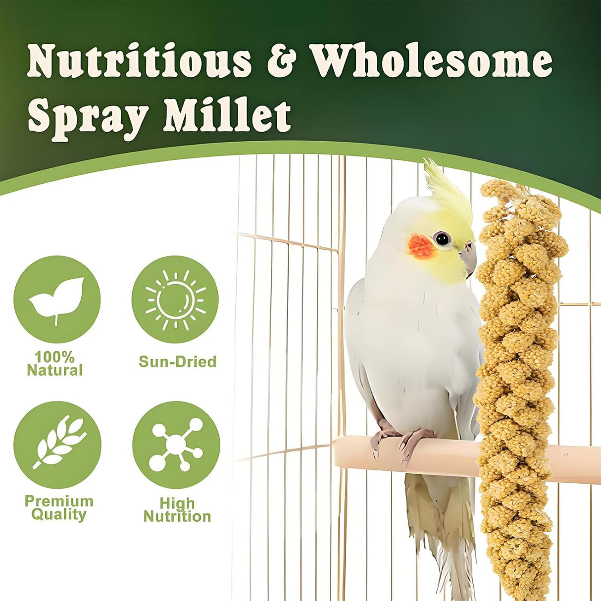 RANZ 5LBS Spray Millet Treat for Pet Birds, Hand-Harvested Bird Snack, Natural Sun-Dried Millet Spray for Parakeets, Parrots, Cockatiels, Lovebirds, Budgies, Finches, Canaries