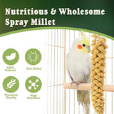 RANZ 5LBS Spray Millet Treat for Pet Birds, Hand-Harvested Bird Snack, Natural Sun-Dried Millet Spray for Parakeets, Parrots, Cockatiels, Lovebirds, Budgies, Finches, Canaries