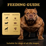 Petterm Dog Muscle Gain Chews - Dog Weight Gain Treat Weight Gain Supplements for Dogs Muscle Builder - with High Protein & Amino Acids for Lean Strength Recovery - 100 Chews for All Breeds & Ages
