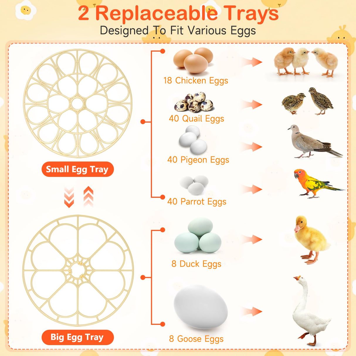18 Egg Incubators for Hatching Eggs, Automatic Egg Turning and Humidity Control Incubator for Hatch Chicken Duck Quail Pigeon Pheasant Partridge Home Classroom Lab-