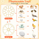 18 Egg Incubators for Hatching Eggs, Automatic Egg Turning and Humidity Control Incubator for Hatch Chicken Duck Quail Pigeon Pheasant Partridge Home Classroom Lab-