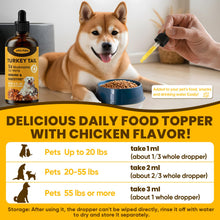 Load image into Gallery viewer, Turkey Tail Mushroom for Dogs - Faster Absorption 2000mg Turkey Tail Mushroom for Immune &amp; Digestive, Joint, Energy, 5X Mushrooms for Pet Drop with Turmeric &amp; Probiotic - Vet Formulated, 90 ML/3FL.oz
