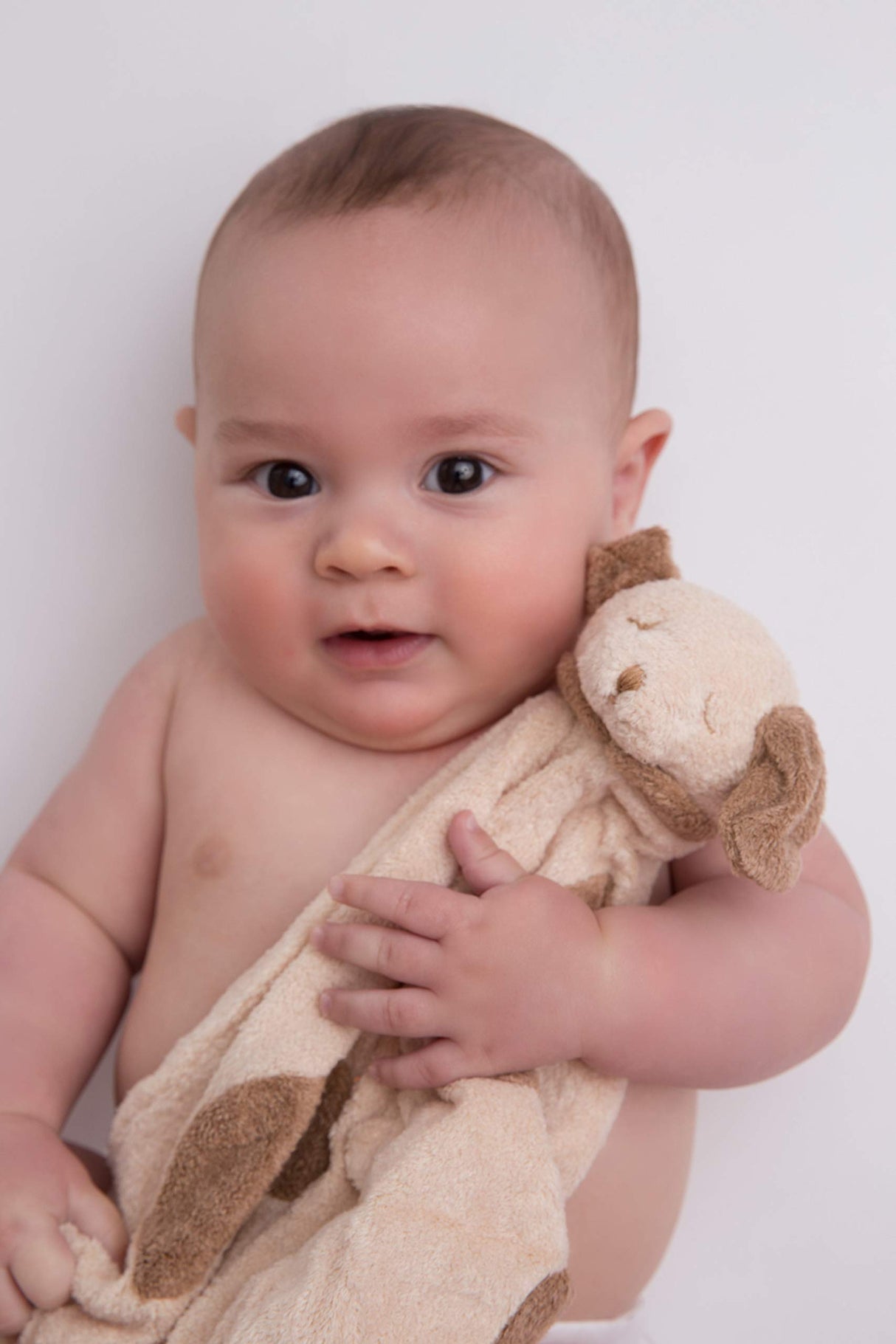 Angel Dear - Light Brown Puppy, Blankie 10.2 x 10.2 x 0.2 Inch