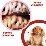 Pet Toothbrush for Dogs, Cats with Soft Bristles - Easy Teeth Cleaning & Dental Care, Non Slip Dual Head Dog Toothbrush for Medium & Large Pets, Toothpaste Not Included, Pack of 4