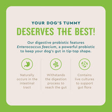 Load image into Gallery viewer, VetIQ Probiotic Powder for Dogs, Treats Diarrhea, Digestive Issues, Food Sensitivity, Chicken Flavored, Single-Serve Packets, 30 Count
