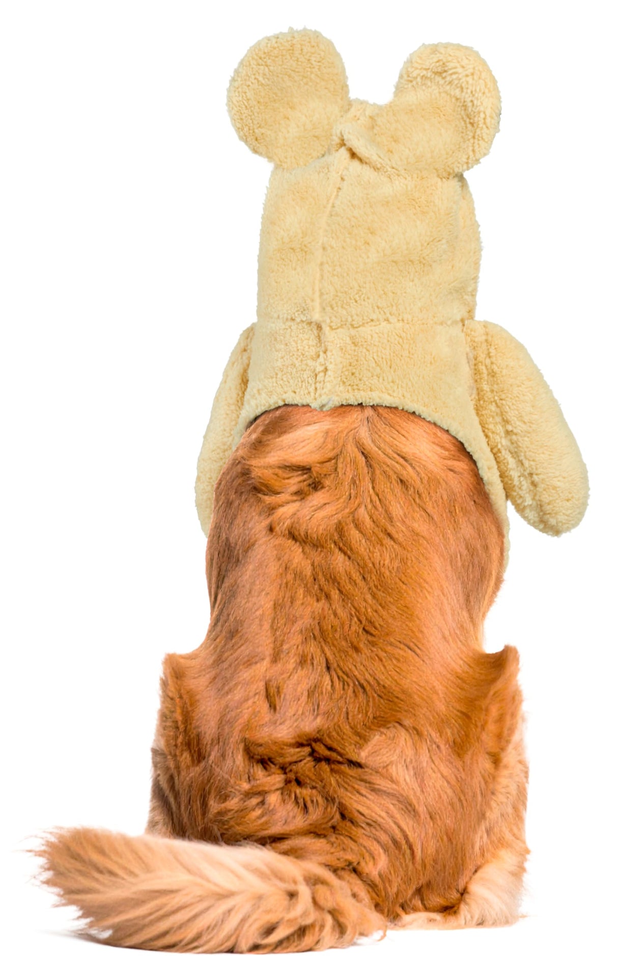 Rubies Walking Teddy Bear Pet Costume for Dogs or Cats, XXXL