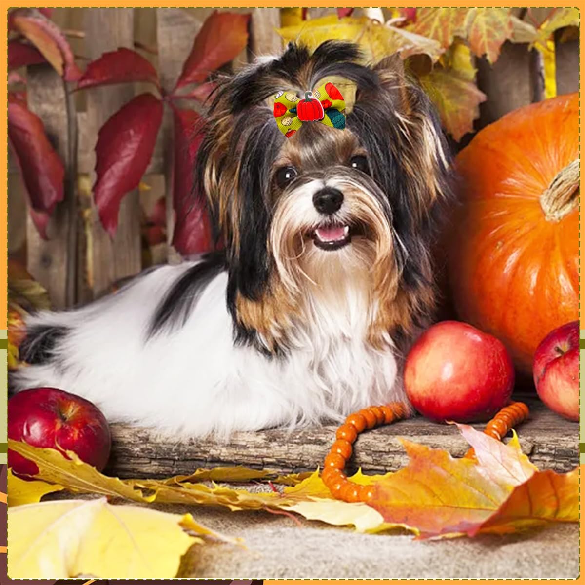 JpGdn 50pcs/25pairs Fall Thanksgiving Dog Hair Bows with Rubber Band Bulk Autumn Fall Topknot Bowknot for Puppy Doggy Cat Yorkies Small Medium Boy Girl Animals Grooming Accessories