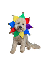ComfyCamper Jester Clown Dog Costume for Small Medium Large Dog Puppy Puppies Cat Kitten - Cute Costumes Outfits Clothes Accessories - Collar Outfit for Pet Cosplay Halloween Christmas (Large)