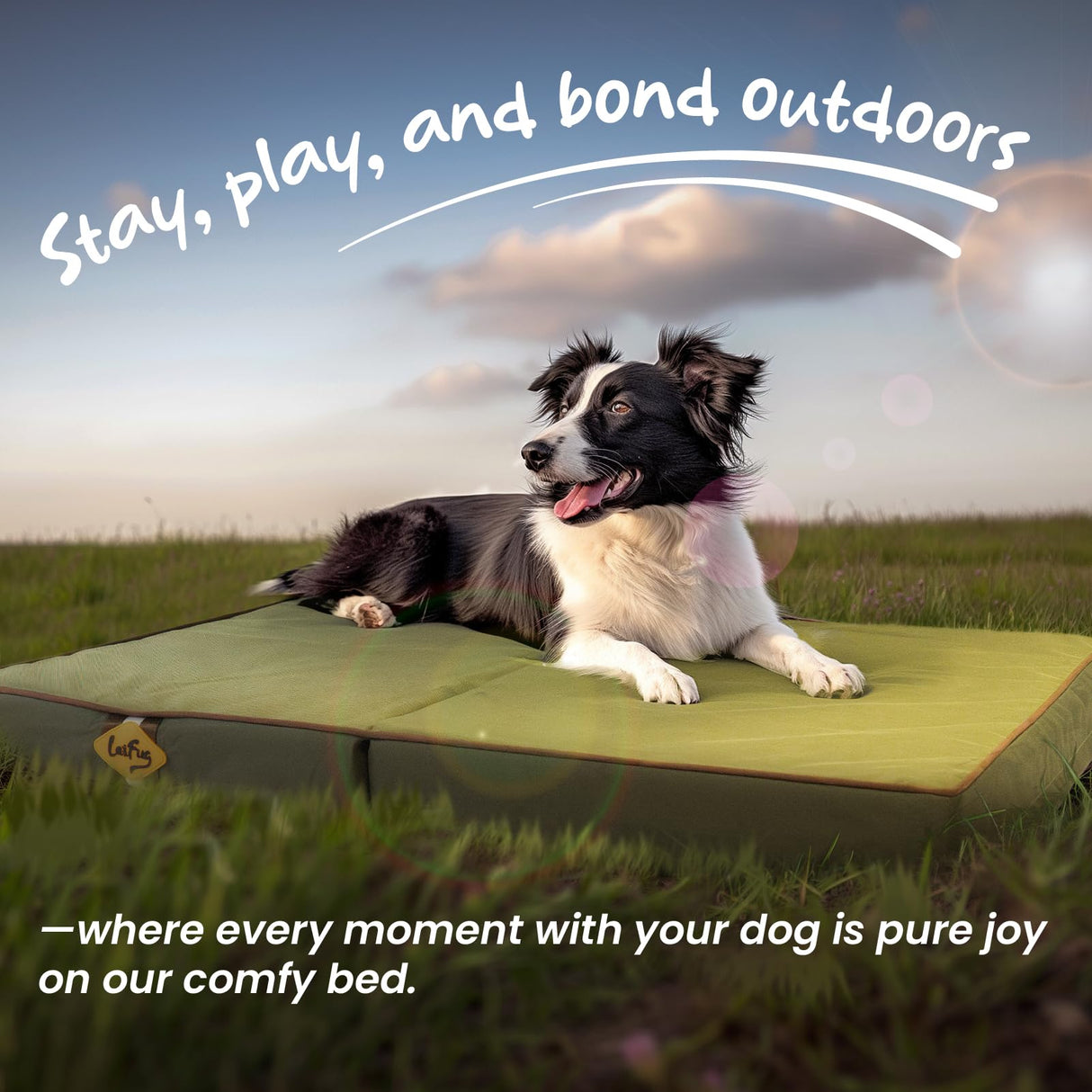 Laifug Foldable Waterproof Dog Bed for Large Dogs - Outdoor Orthopedic Dog Bed with Washable Removable Cover, Pet Mattress with Handles, Army Green, (36 x 27 x 3.5, inches)