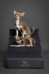 Noah & Paw Dog Stairs, Dog Ramp for Bed (17" Extra Wide) Pet Stairs for High Bed, Design to Fit Small and Large Breeds, Durable 4 Pet Steps for Couch (35 Foam Density) Leather Collection