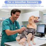PET Glam Recovery Suit for Dogs Cats, After Surgery, Alternative E-Collar Dog CAT. PET Shirt Breathable Abdominal Wounds, Neuter Cotton, Prevent Licking Onesie Surgical (Green, XXL)