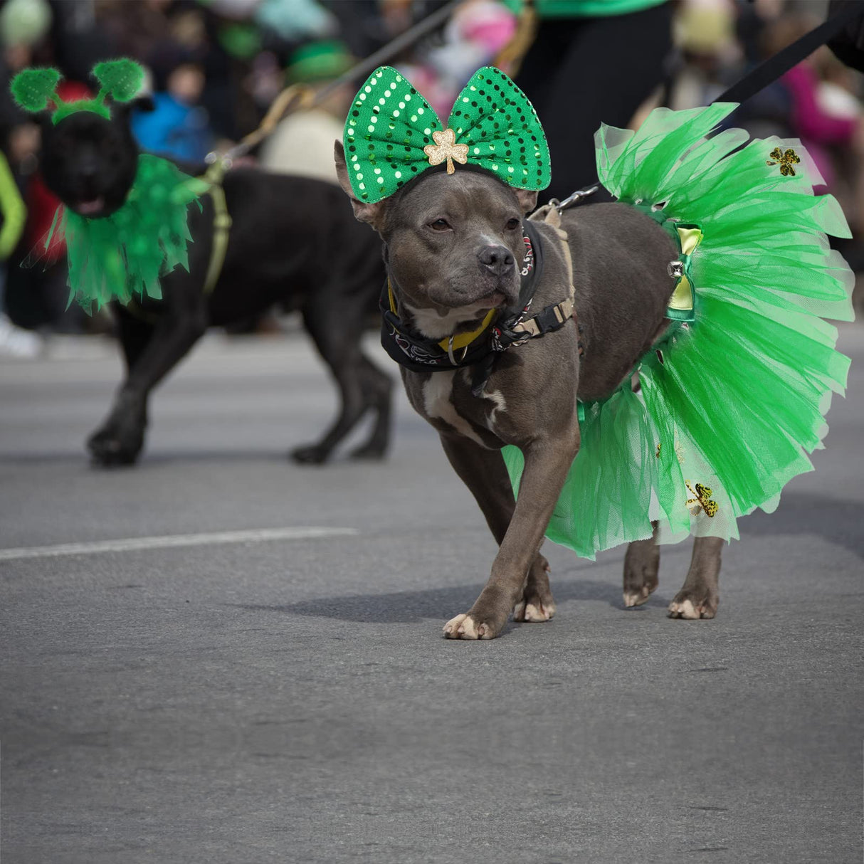 4 Pcs St Patrick's Day Dog Costume Pet Costume, Tutu for Dogs Sequins Bowtie Shamrock Headband Dog Dress Tutu Collar Green Puppy Skirt for St. Patrick's Day Irish Party Dog Pets Accessories Photo Prop