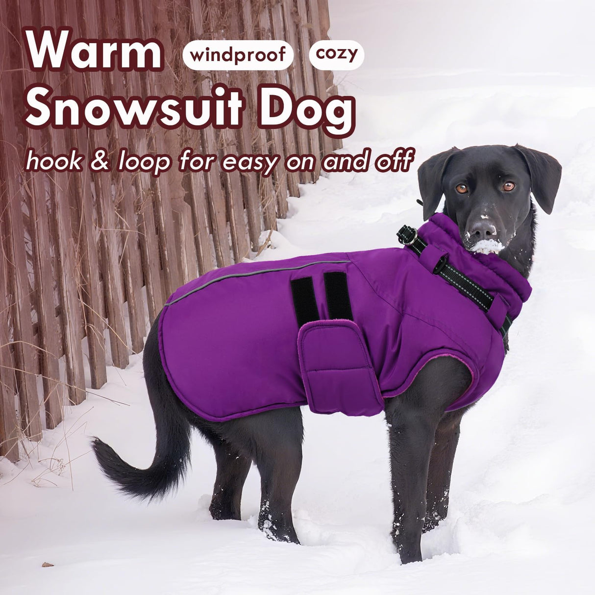 IKIPUKO Large Dog Jacket, Waterproof Winter Coat with Harness Built in, Reflective Adjustable Hook&Loop Dog Snowsuit Cold Weather, Warm Snow Coat for Dogs French Bulldog, L Purple