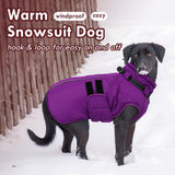 IKIPUKO Large Dog Jacket, Waterproof Winter Coat with Harness Built in, Reflective Adjustable Hook&Loop Dog Snowsuit Cold Weather, Warm Snow Coat for Dogs French Bulldog, L Purple