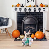 NACOCO Halloween Dog Doctor Costume - Pet Dentist Clothes Cat Funny Uniform Green Outfit Apparel Adjustable for Small Medium and Large Dogs(Green Dentist, L)