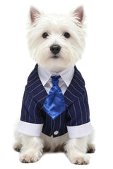 GabeFish Pets Wedding Jackets Suit for Dogs with Bow Tie Puppy Cat Formal Clothes Shirt Tuxedo (BlueStriped, S (Chest 12.9in/33cm)