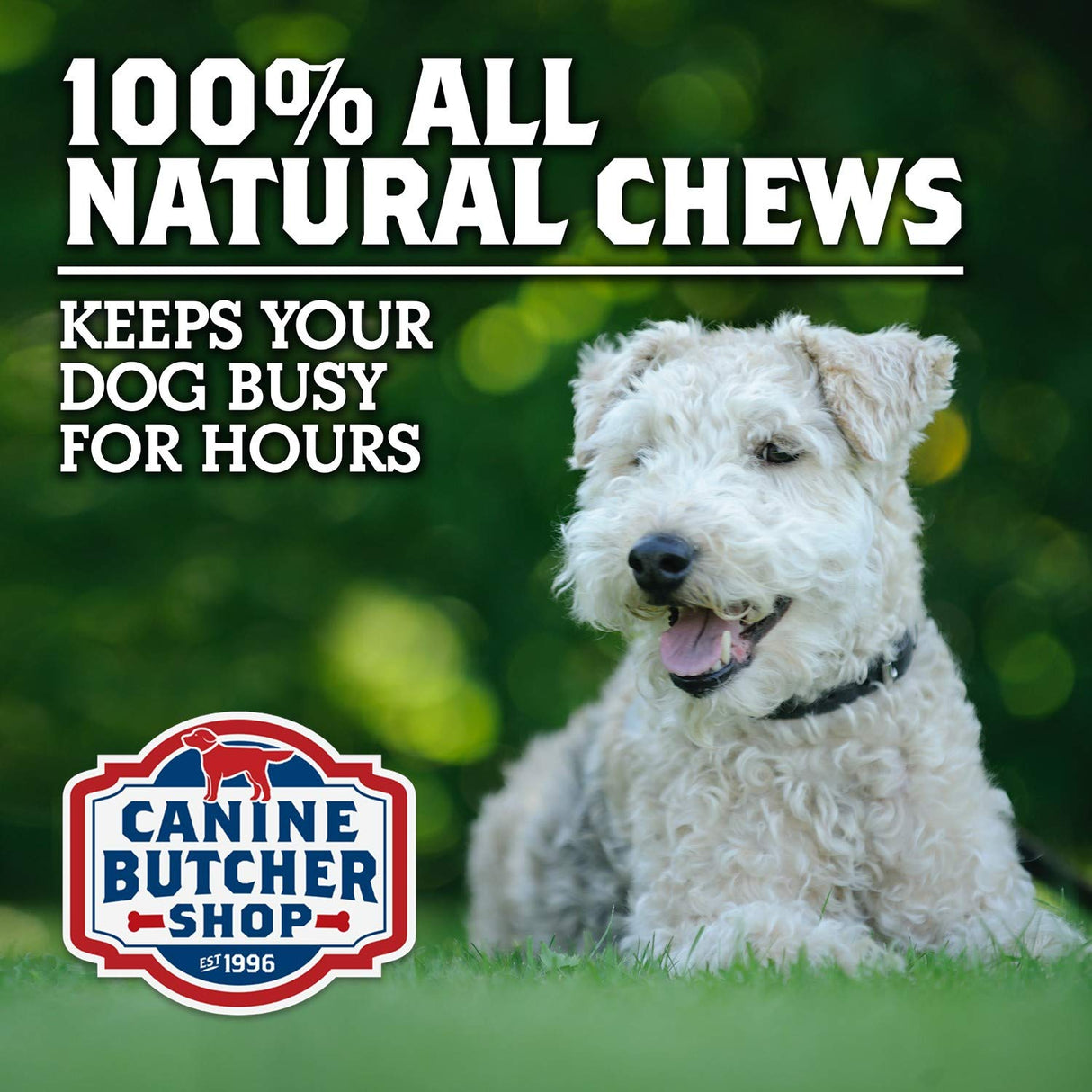 Canine Butcher Shop Pig Ears for Dogs, Always USA Made (30-Pack), All Natural, Sourced in USA Pig Ears, Digestible Pork Dog Chew Treat
