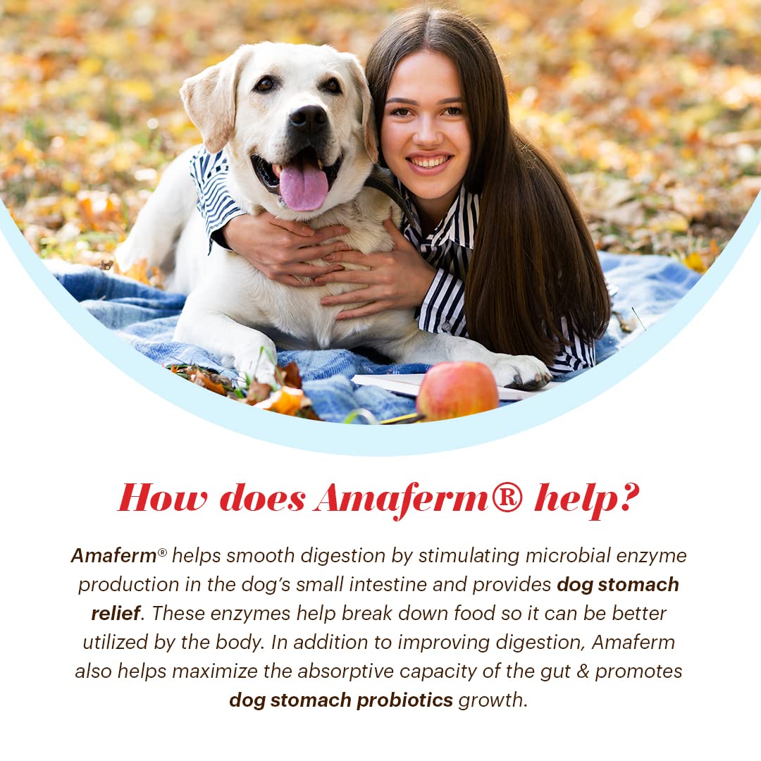 Vitalize Alimend K9 - Dog Upset Stomach Relief for Nausea, Vomiting & Diarrhea - 6 Oz